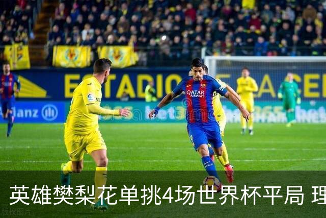 英雄樊梨花单挑4场世界杯平局 理论中足彩500万